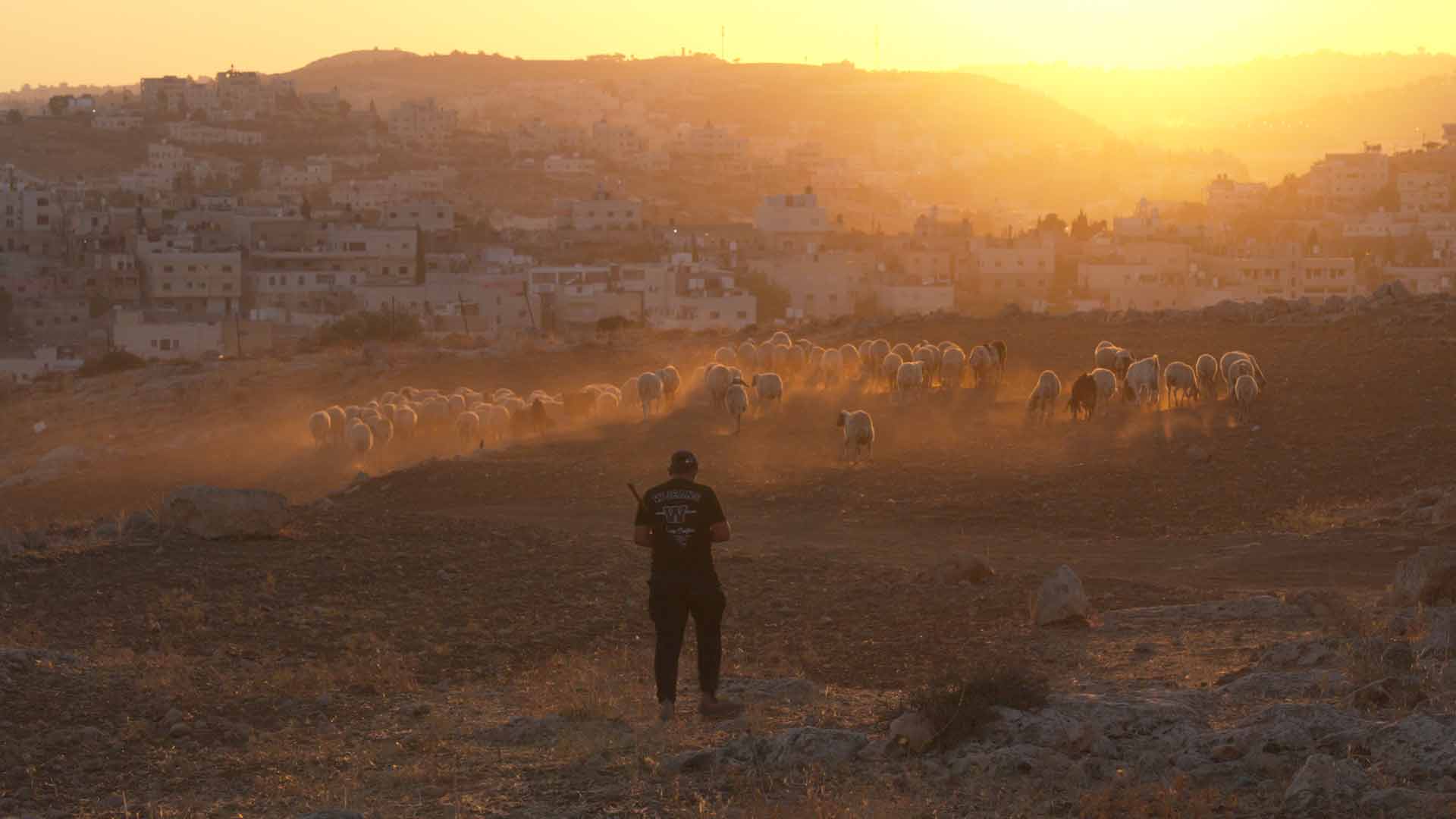 Palestinians are Jews