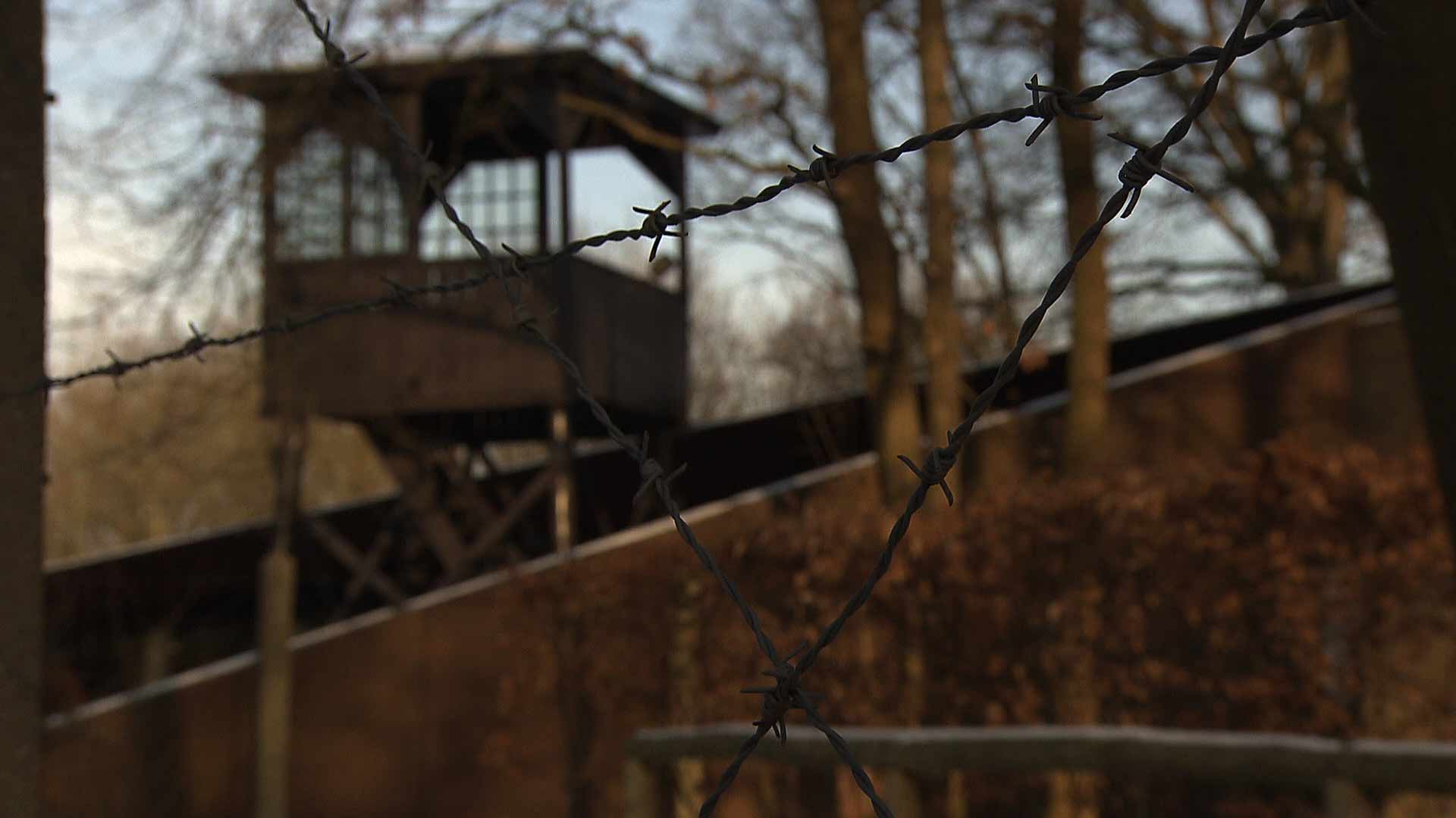 Hidden Not Forgotten